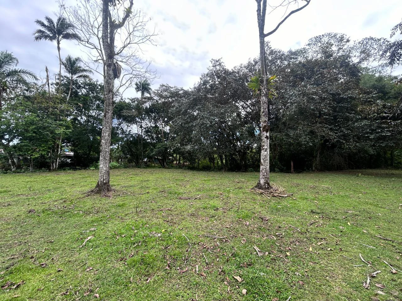Land for Sale 4803 m2: Over 1 acre beautiful flat land Ready to build with electricity, small creek from spring. - Gallery image 8