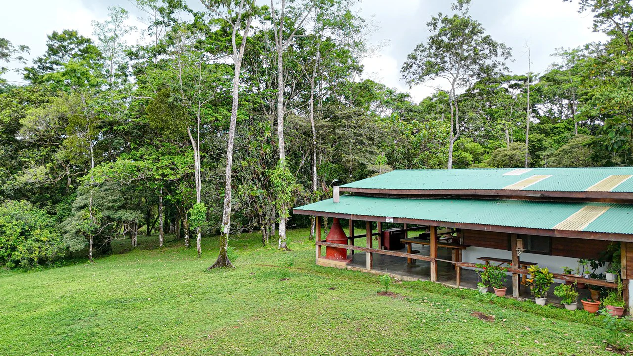 Finca Macadamia: 154-acre Rainforest Paradise with two Houses and Trails! - Gallery image 20