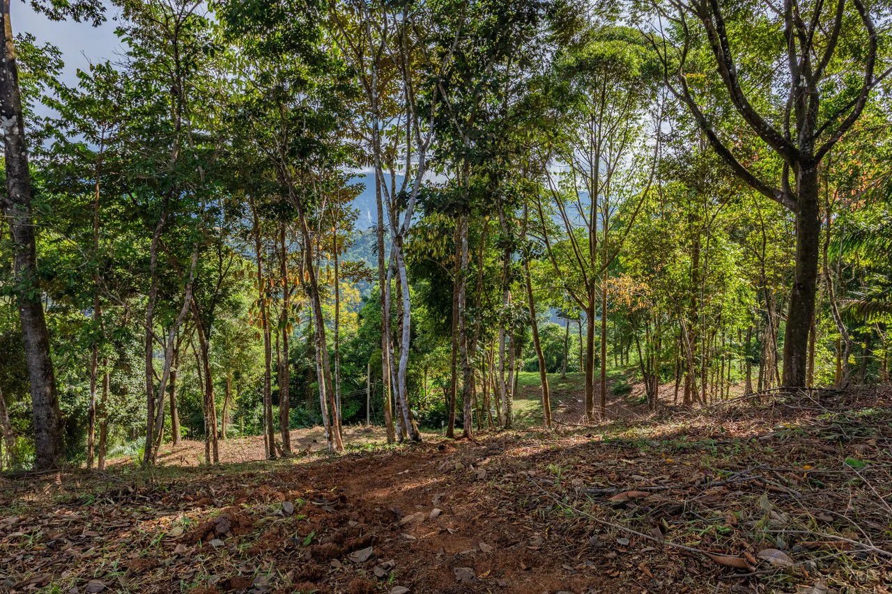 2.9 Acre Paradise with Diamante Valley Views Dominical - Gallery image 20