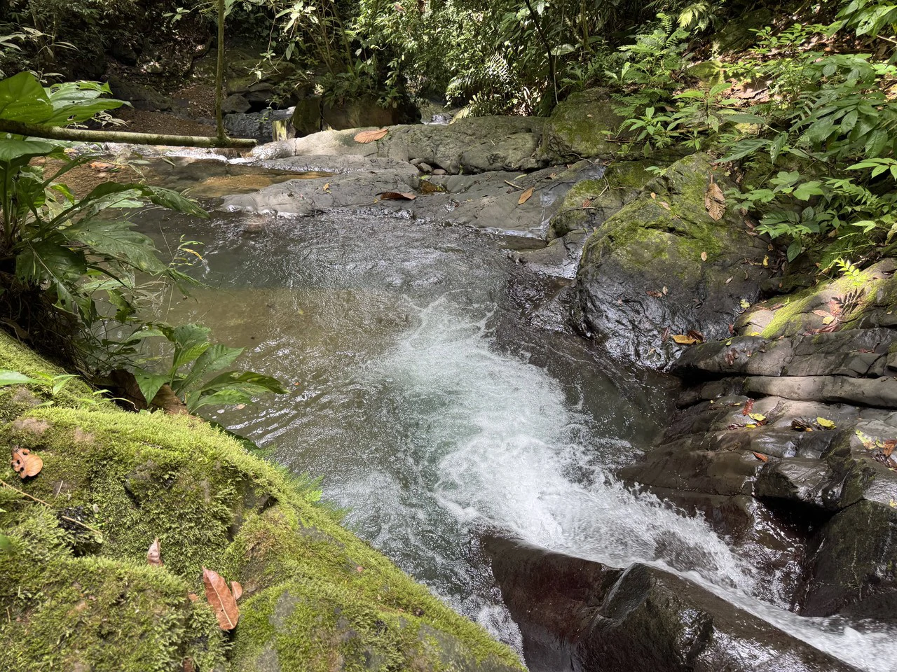 23.5 Acre Waterfall & Riverfront Estate Bahia Ballena Osa Peninsula - Gallery image 20