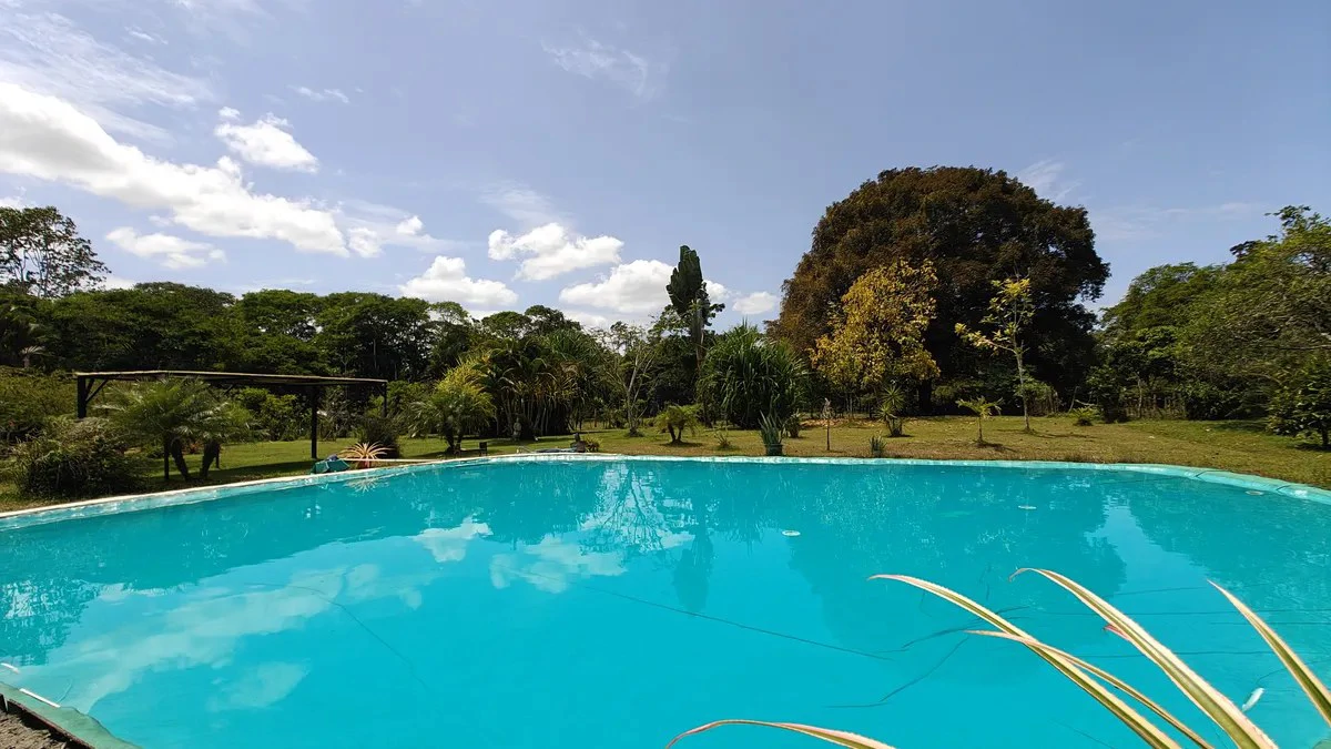 ID 945: 1 Hectare Food Production Estate with 200 sqm Private Pool and Livestock in San Miguel - Gallery image 8