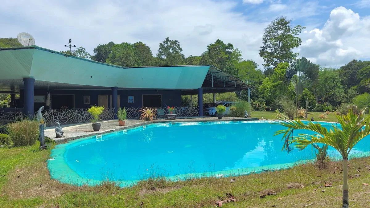 ID 945: 1 Hectare Food Production Estate with 200 sqm Private Pool and Livestock in San Miguel
