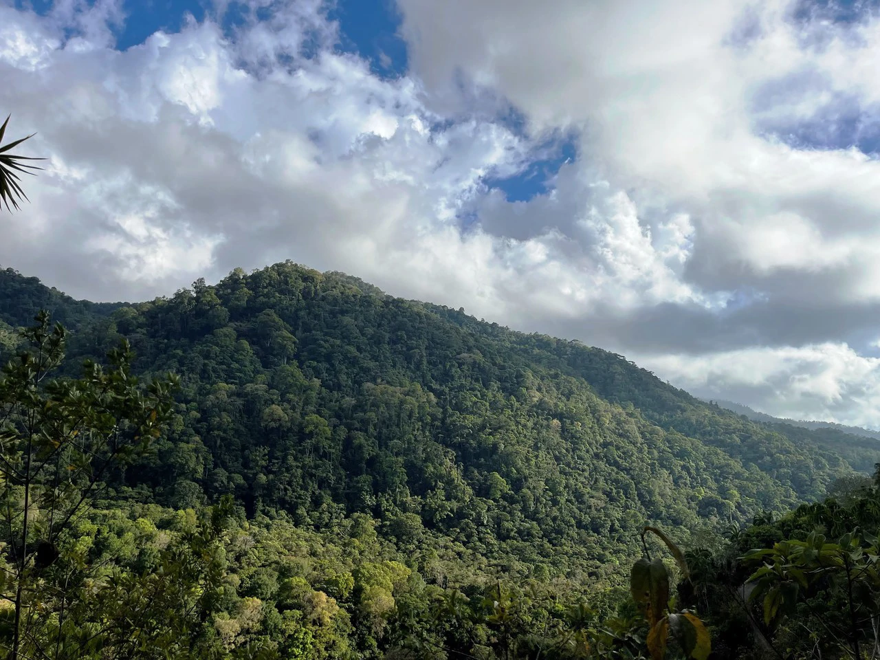 Canaan de Rivas 10 acres Above San Isidro - Gallery image 21