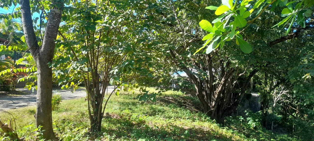 Playa Carrillo Lot: 200 meters to Playa Carrillo - Gallery image 6