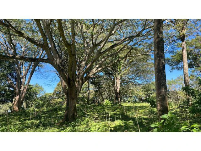 Nature Paradise Farm for sale in the mountains of Quebrada Grande, Building potential property 30 minutes away from Liberia - Gallery image 33