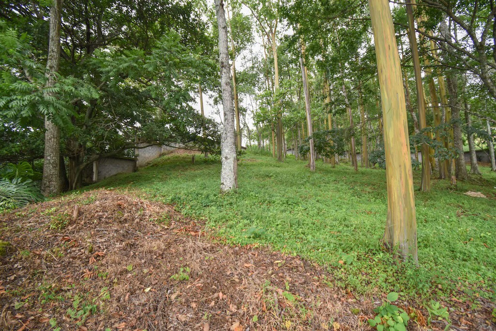 Terreno de 1340.21m2 en Condominio Hacienda Cocoy: Home Construction Site For Sale in Guachipelín - Gallery image 2