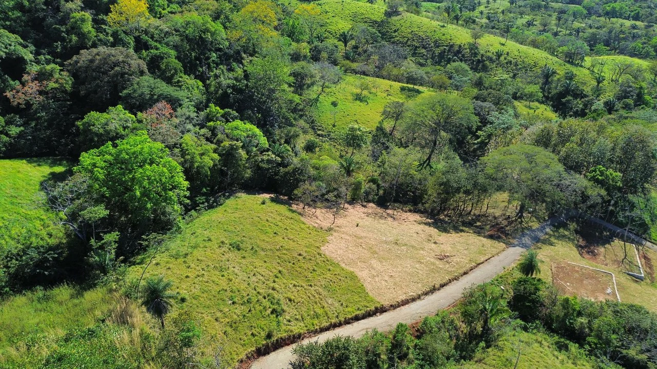 Finca Martine: 3 Platforms, Ready to Build - photo 5