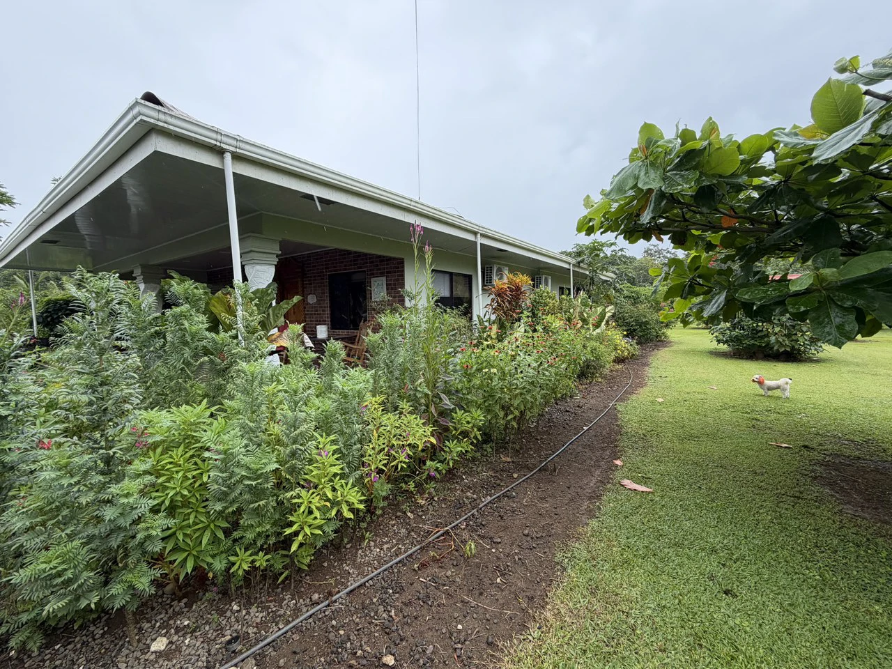 Country house with fruit trees for sales Upala Costa Rica - Gallery image 19