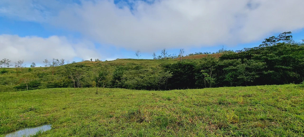 Lote 46 RISE: BEAUTIFUL 1.37-ACRE LOT WITH CREEK FOR SALE IN THE HEART OF THE RESIDENCIAL RISE, SANTA ELENA - Gallery image 13