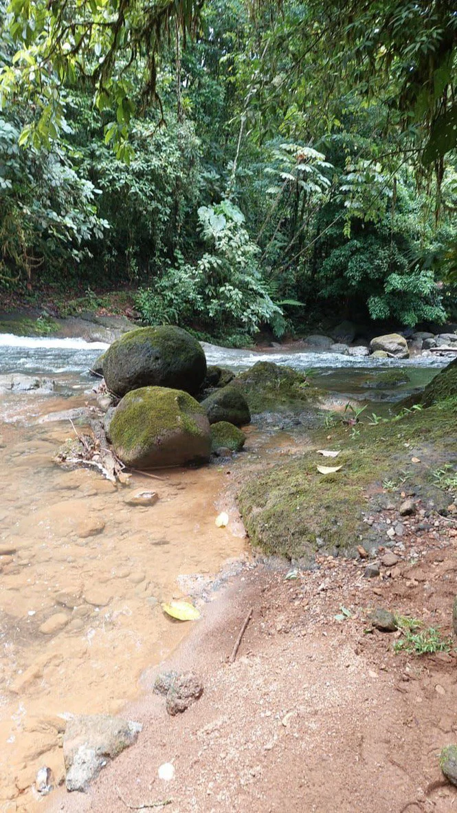 SECLUDED PARADISE WITH STUNNING VIEWS, WATERFALLS & ABUNDANT WILDLIFE - Gallery image 7