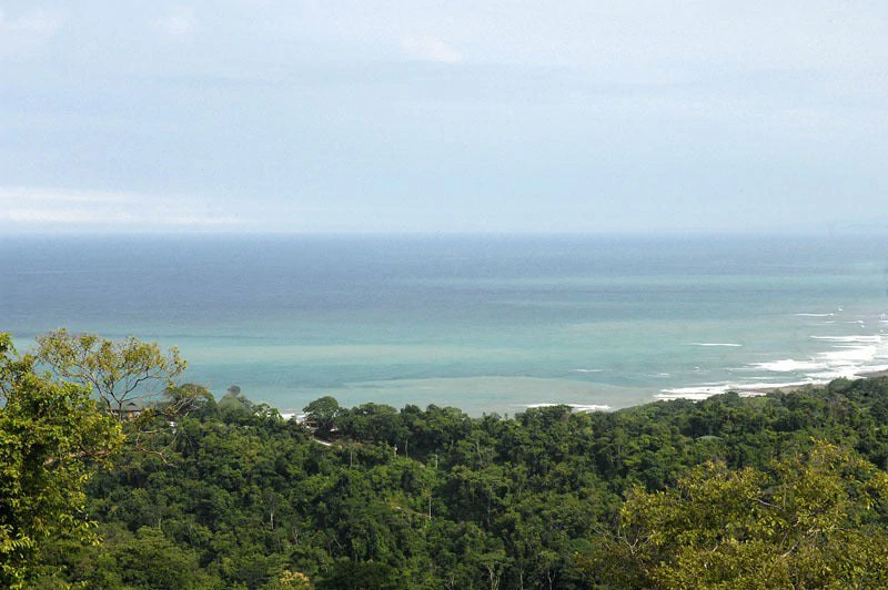 Gem 62.5 Acre Resort-Ready Estate: Oceanview Hospitality Gem 62.5 Acre Resort-Ready Estate with Operating Hotel - Gallery image 2