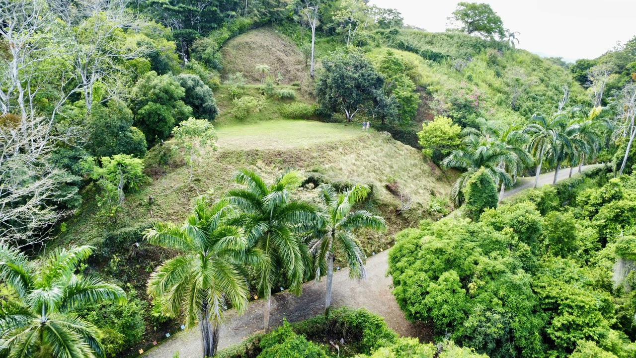 3.6 Acre Ocean View, Near the Beach & Cool Mountain Elevation: Mountain Home Construction Site For Sale in Lagunas - Gallery image 4