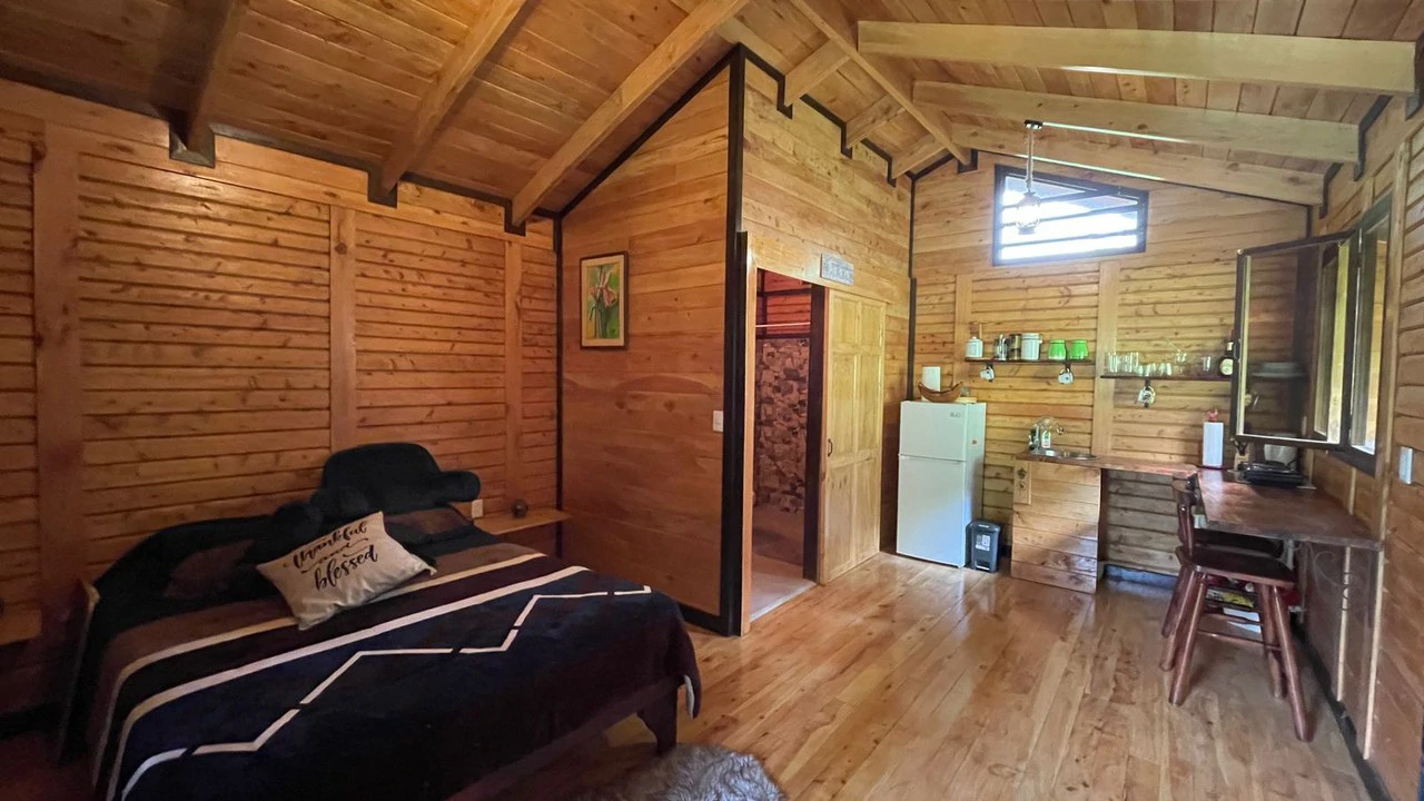 Property for Sale in Berlin de San Ramón, Costa Rica - Gallery image 25
