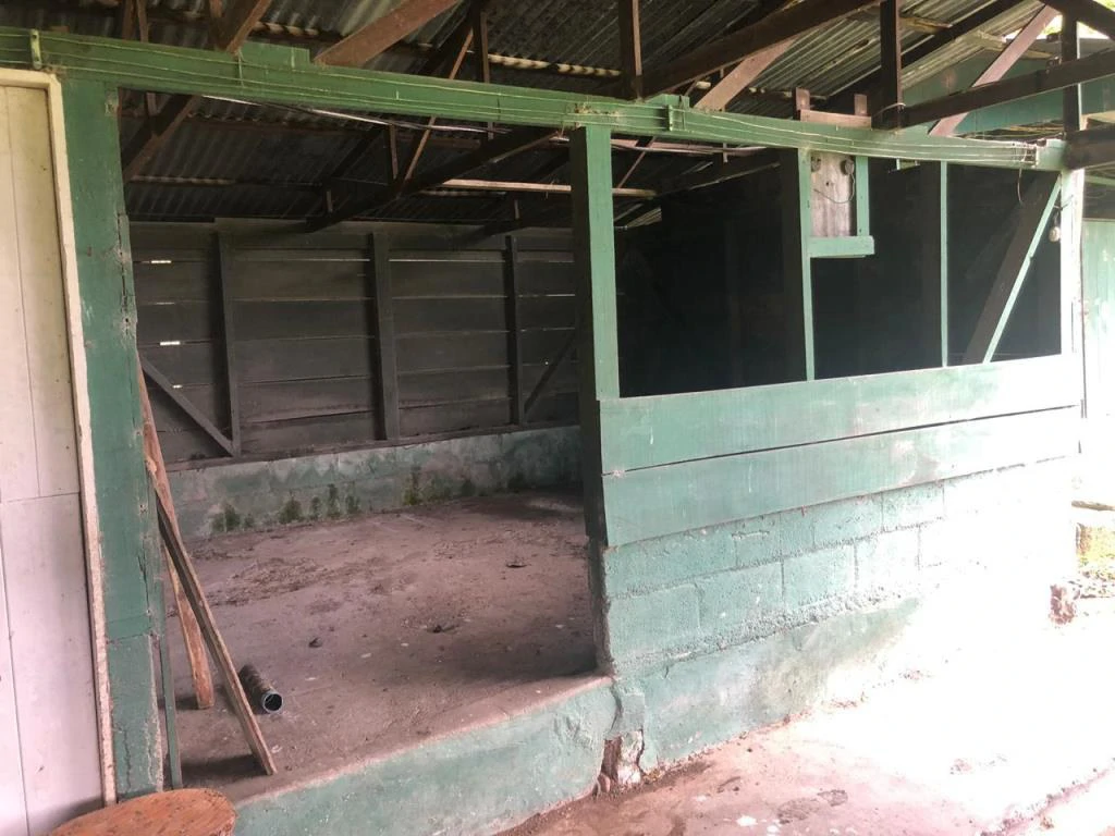 Horse ranch mountain farmland with its own stable's in San Rafael, Heredia - Gallery image 9