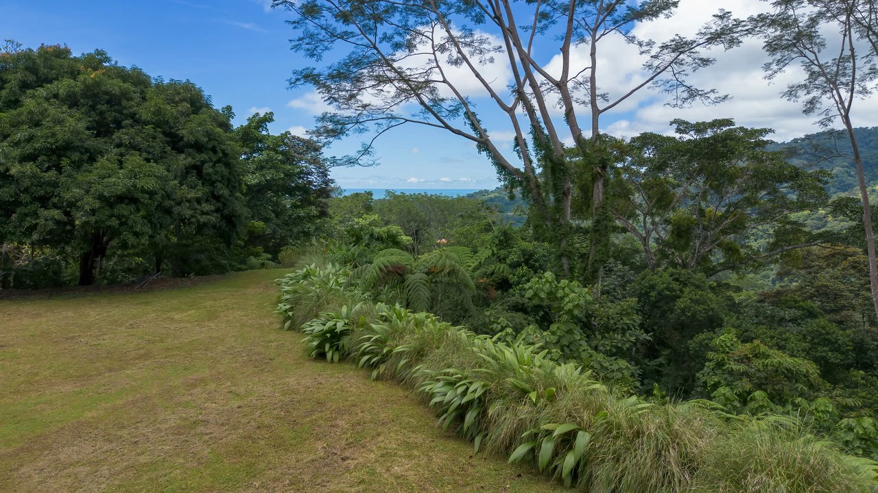 Build-Ready Ocean View Land with Guest House & Fruit Orchard | Tres Rios, Costa Rica - Gallery image 13