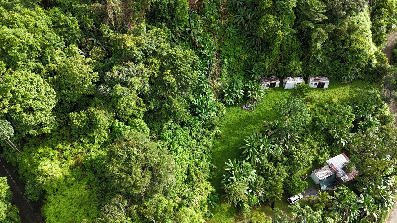 Exceptional Ocean & Mountain View Property in Pinuela Arriba, Costa Rica - Gallery image 9