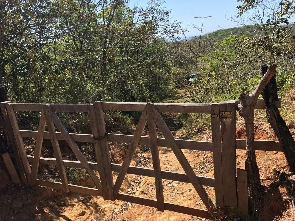 Ocean view farm for sale in the mountains of San Juanillo - Gallery image 5