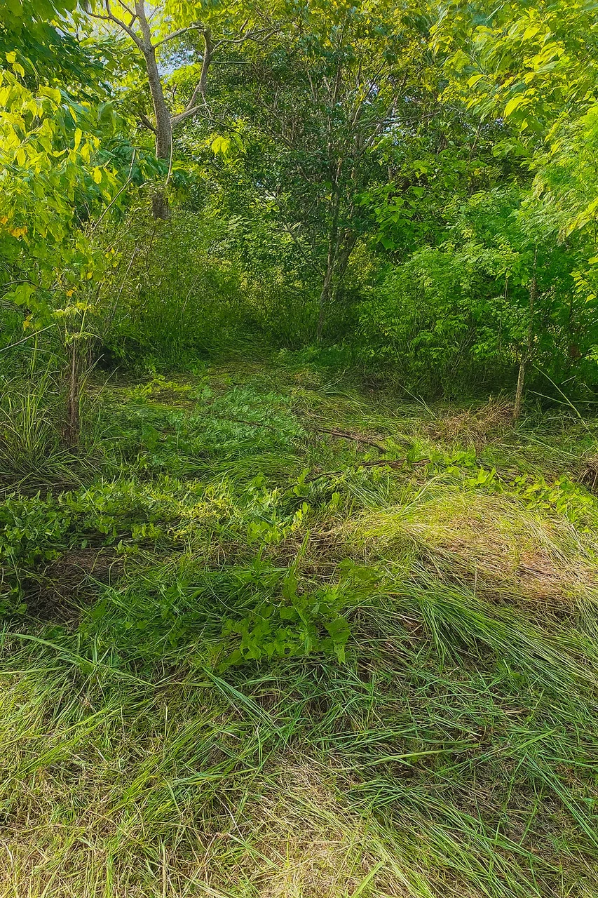 Terreno Exclusivo en Venta – Playa Marbella, Guanacaste, Costa Rica: Mountain Home Construction Site For Sale in Marbella - Gallery image 2