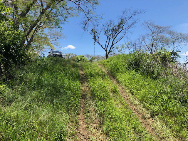 Amazing 50% discount for Huge ocean-view farm for sale surrounded by soft rolling hills and pristine nature - Gallery image 11