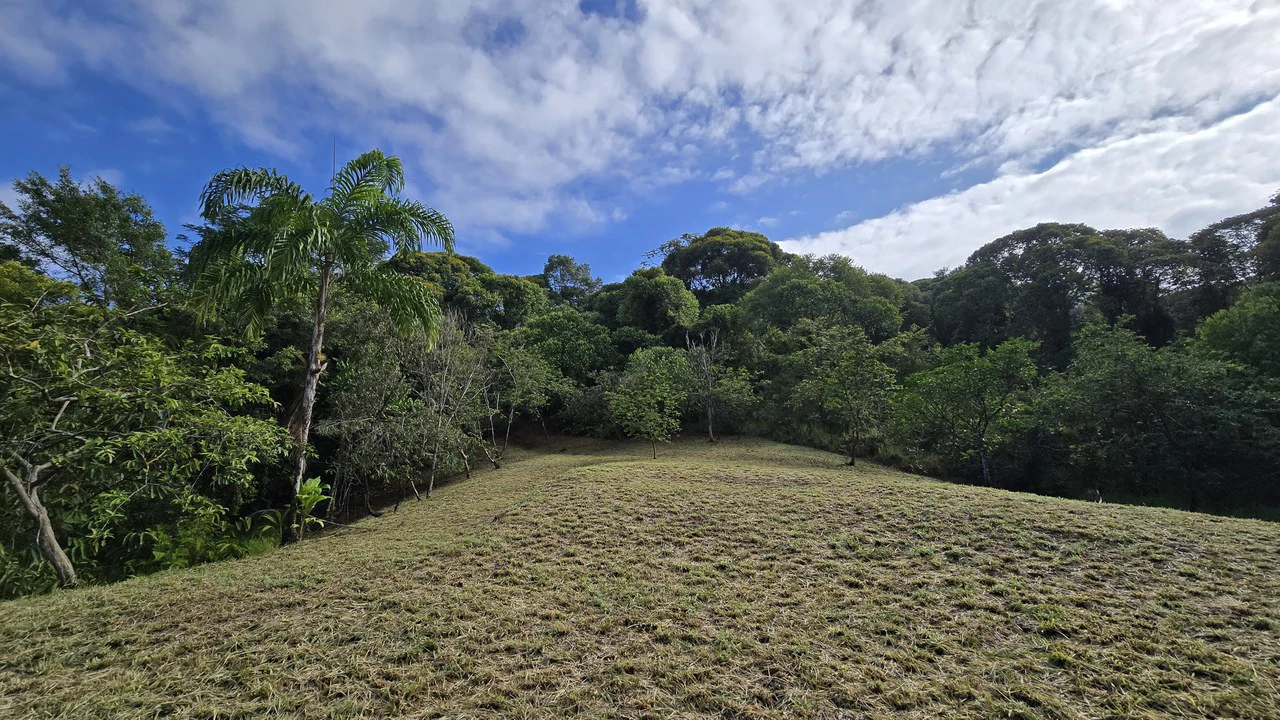FINCA EN BARÚ GUSTAVO-149760: Mountain Agricultural Land For Sale in Barú - Gallery image 12