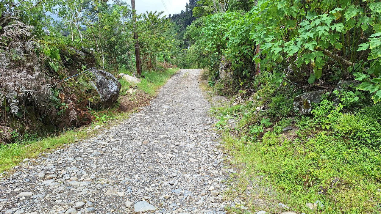 Propiedad en cedral: Mountain Home Construction Site For Sale in Cajón - Gallery image 16