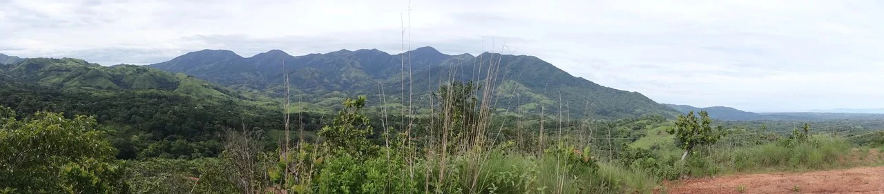 Agricultural Land For Sale in Turrubares - Gallery image 9