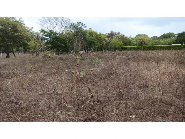Amazing building property for sale 5 minutes away from Liberia center and 2 minutes walking to the Colorado River - Gallery image 13