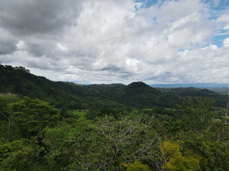 Panoramic 180 Degree Ocean View Lot Ready To Build Close To Ojochal - Gallery image 28