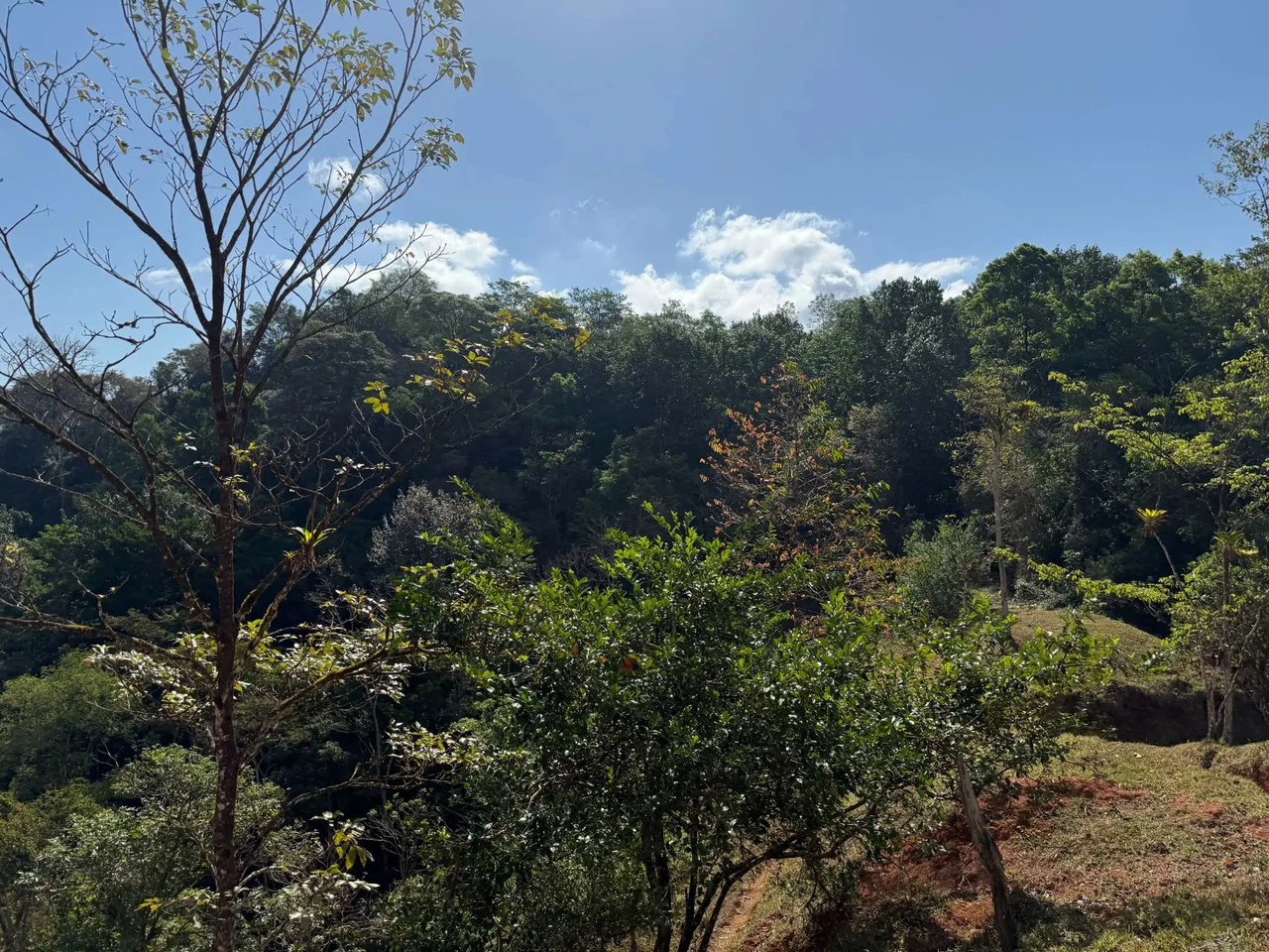 11.4 Hectare Mountain Estate: Lush Forest, River & Farm Potential in Arenal Puriscal , San Jose - Gallery image 22