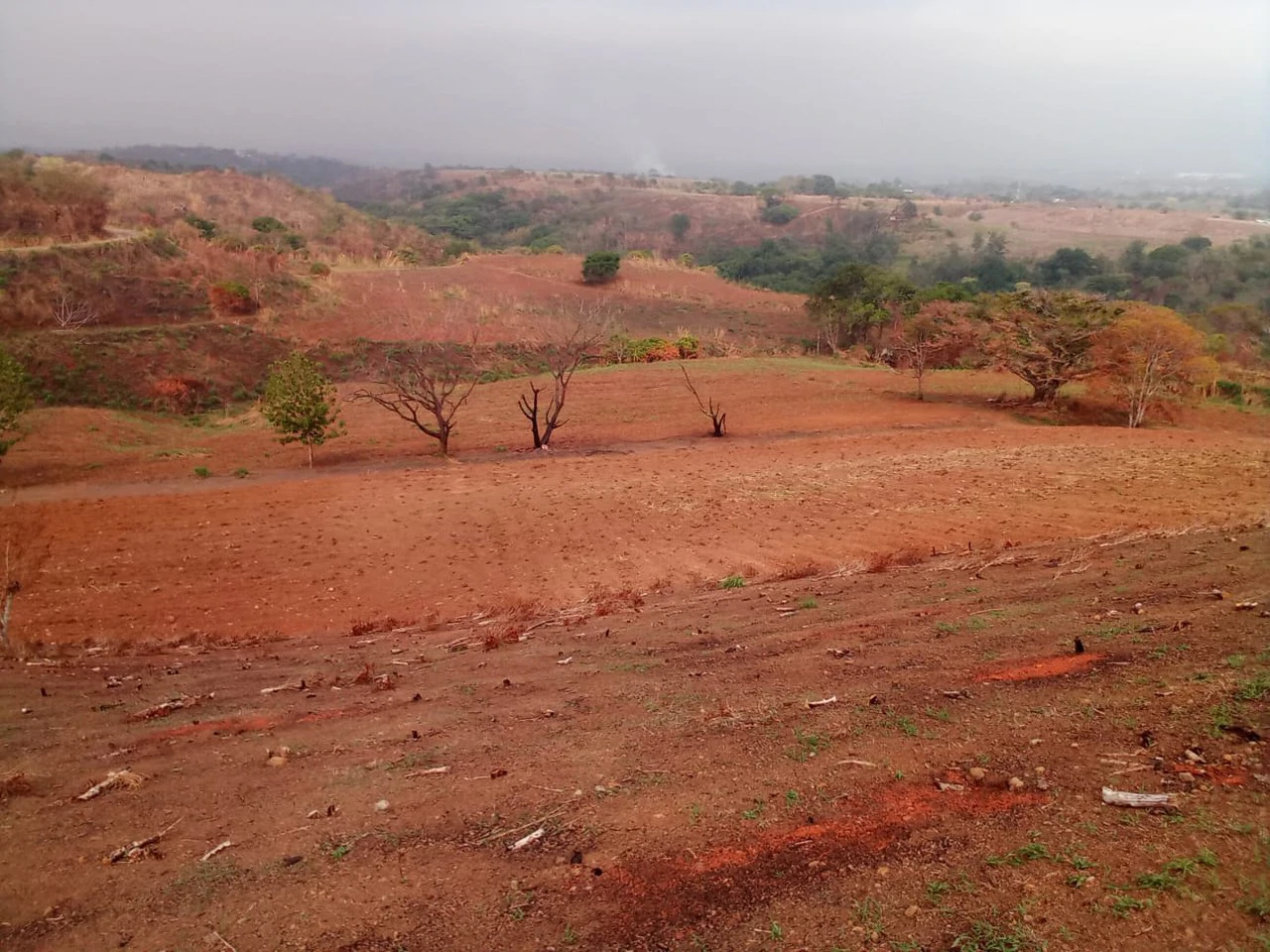 THE JEWEL OF GRECIA: $20m2 - 10 Hectares of Unlimited Potential!