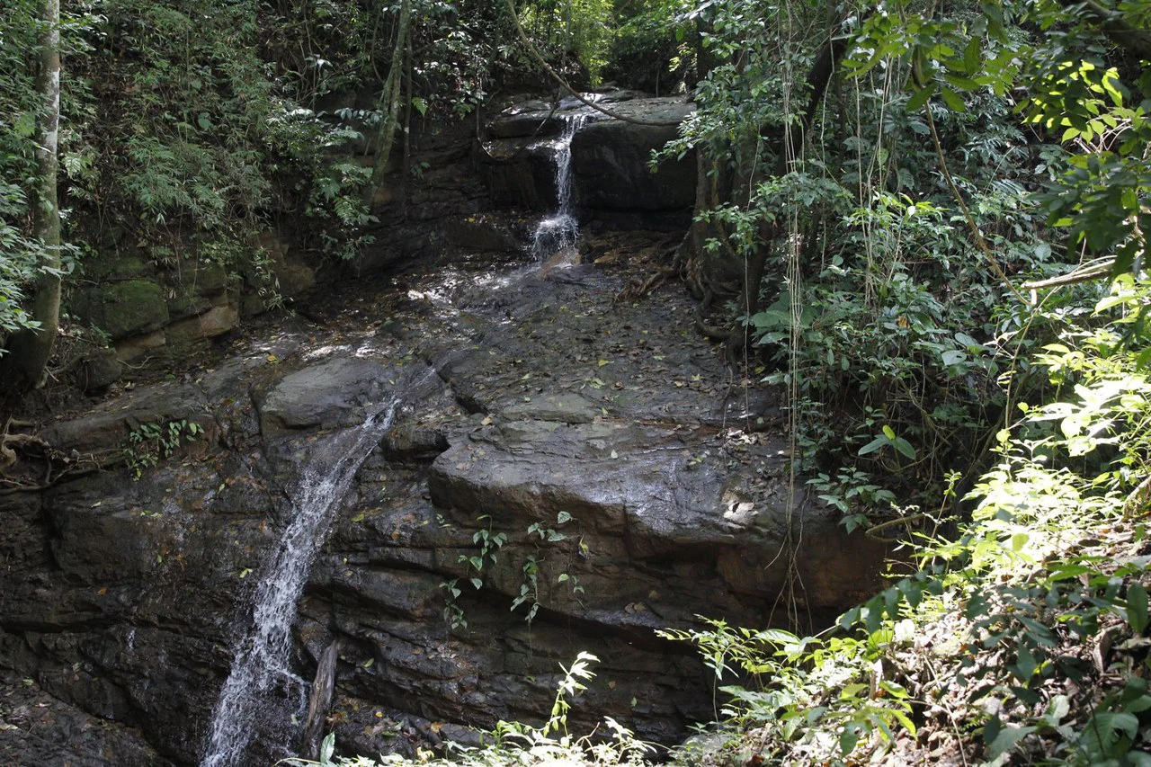 Lot for Sale in Gated Community Cerro Colon Ciudad Colon Costa Rica - Gallery image 25