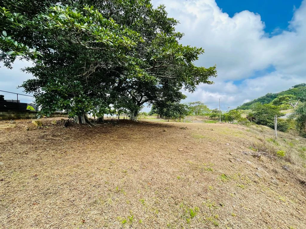 Bargain Lot for sale in Residencial Vista Mar with Ocean and mountain view between San Mateo and Orotina Alajuela Costa Rica - Gallery image 17