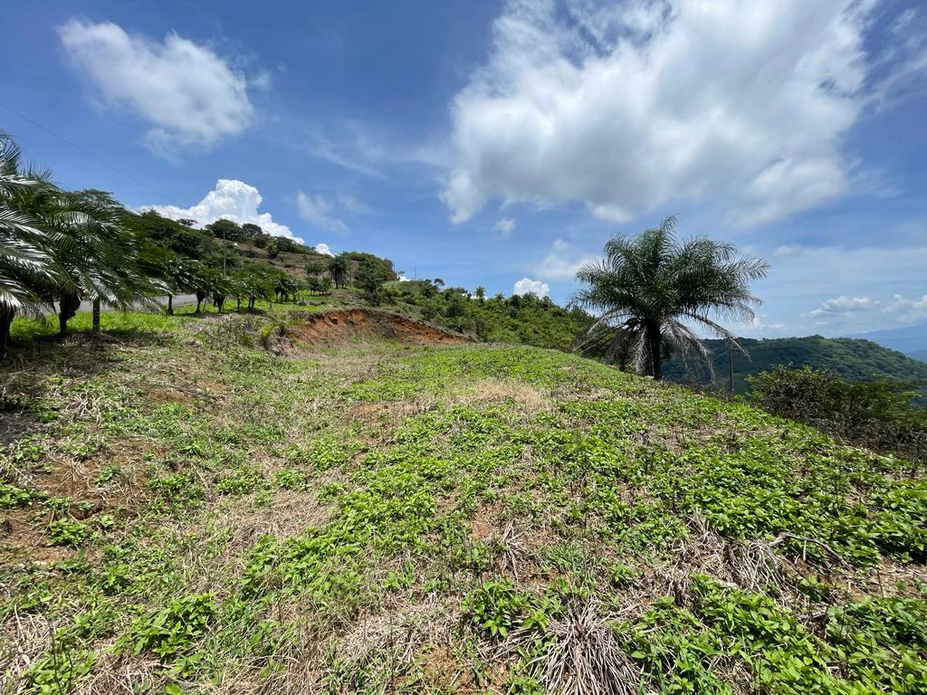 Mountain and ocean view lot for sale in residencial Vista Mar between San Mateo Orotina Alajuela - Gallery image 4