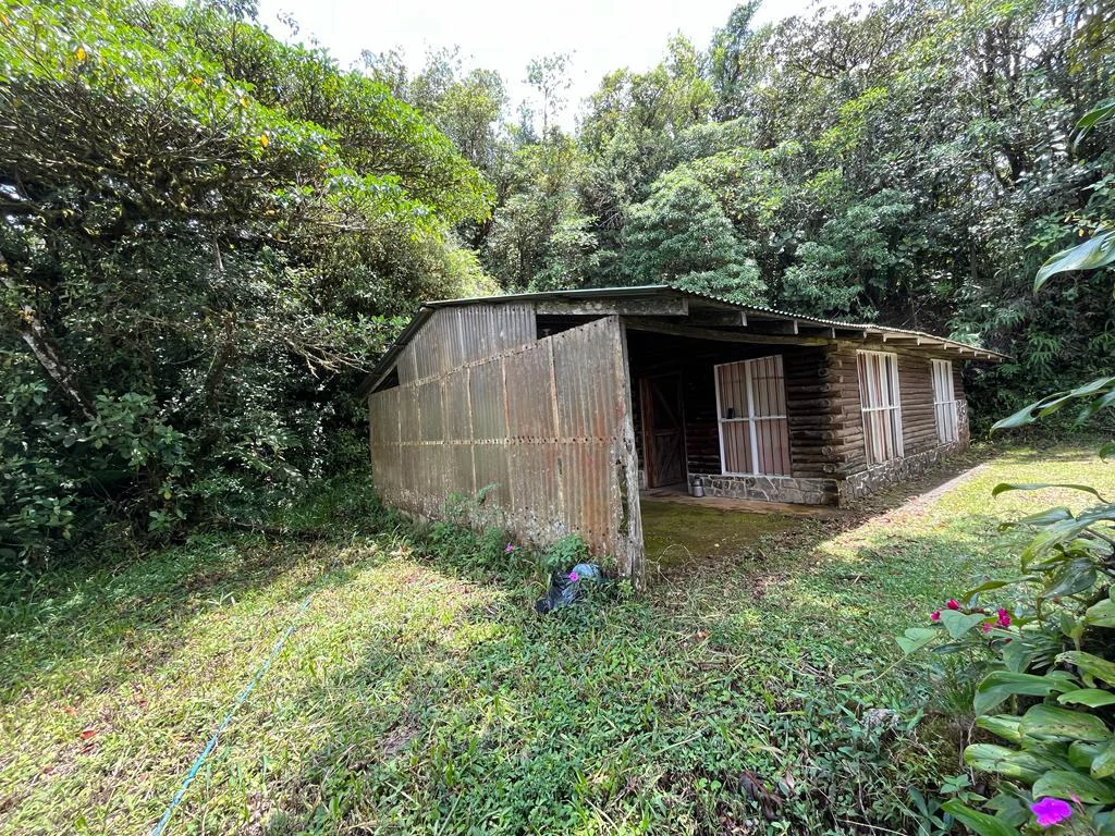 Fantastic property near Biological Reserve - Gallery image 6