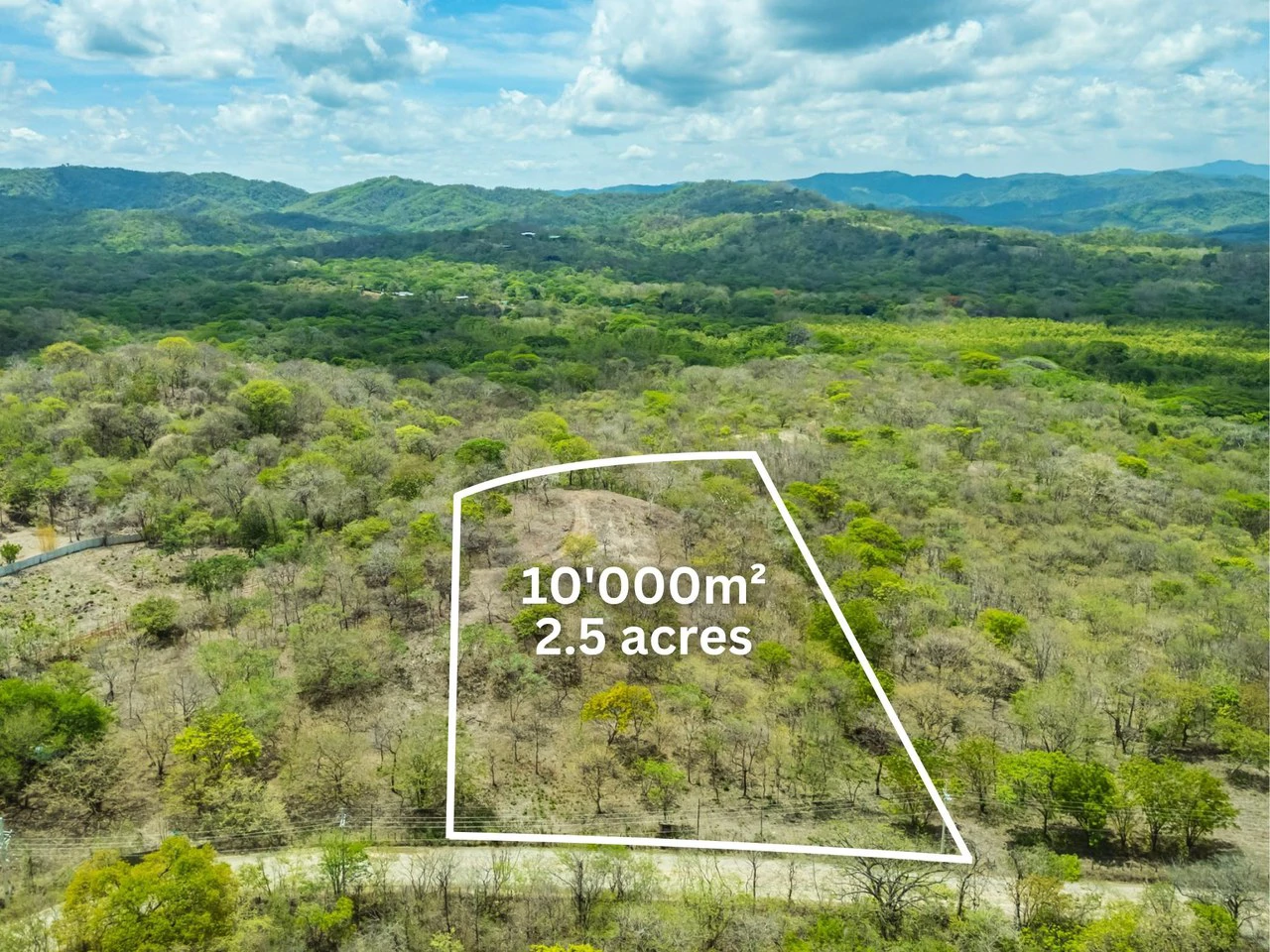 Pura Jungla Lots: Expansive Lots with Water Availability in Los Pargos - Gallery image 10