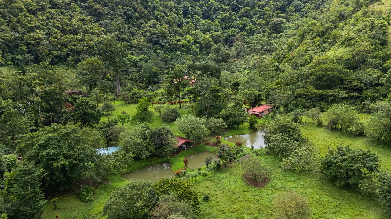 Finca Mei Tai: Enchanting property! Don't miss your chance to own a piece of paradise! - Gallery image 22