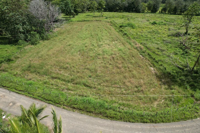 Land For Sale with Excellent Location in La Amapola, Puerto Jimenez - Gallery image 8