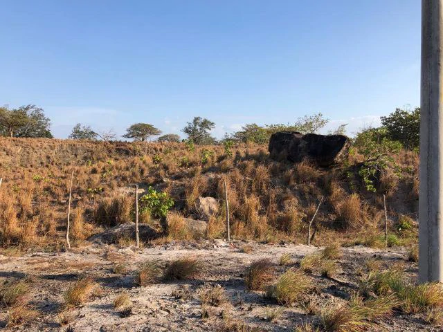 Commercial Property for sale, Located directly in front of the national Route #21 and Diagonal from the new project NYA - Gallery image 11