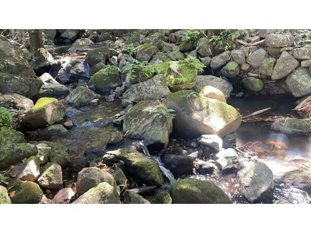 Nature Paradise Farm for sale in the mountains of Quebrada Grande, Building potential property 30 minutes away from Liberia - Gallery image 11