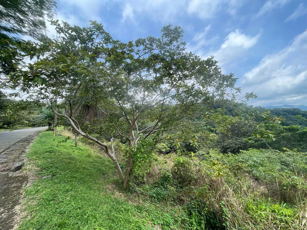 Lot for sale in Residential Vista Mar ocean and mountains view between San Mateo and Orotina Alajuela Costa Rica - Gallery image 4