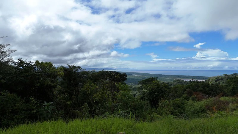 Unparalleled Beauty with Awe-Inspiring Ocean Views in Tres Rios // Legal Water Available! - Gallery image 6