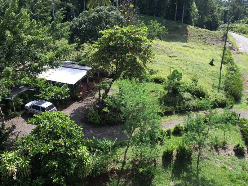 69.16 Acres Property | Mountain & Top Ocean View with Small Home - Gallery image 19