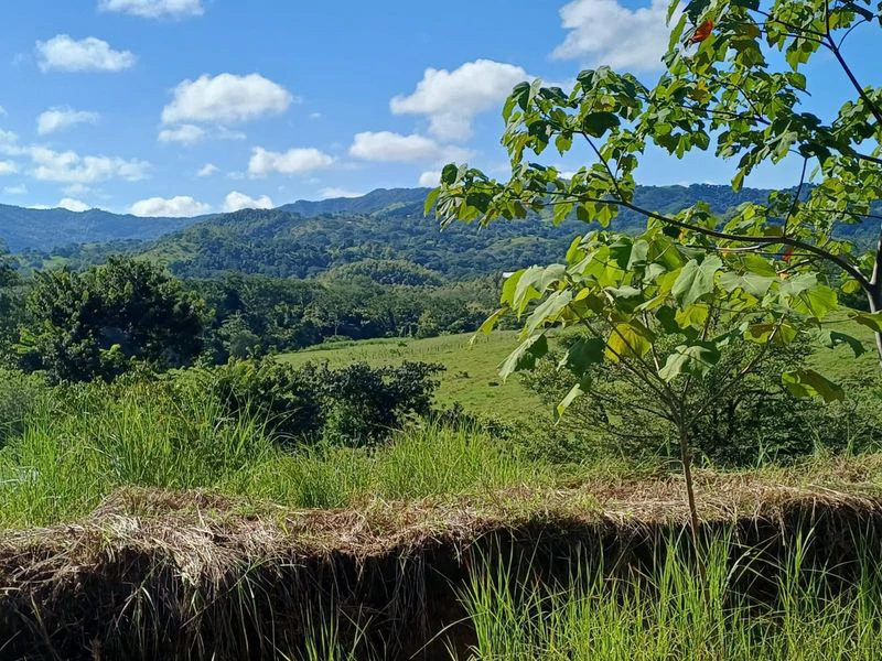 Lote Amanecer: Valley and Mountain View Lot Near Hojancha – Ready to go! - Gallery image 9