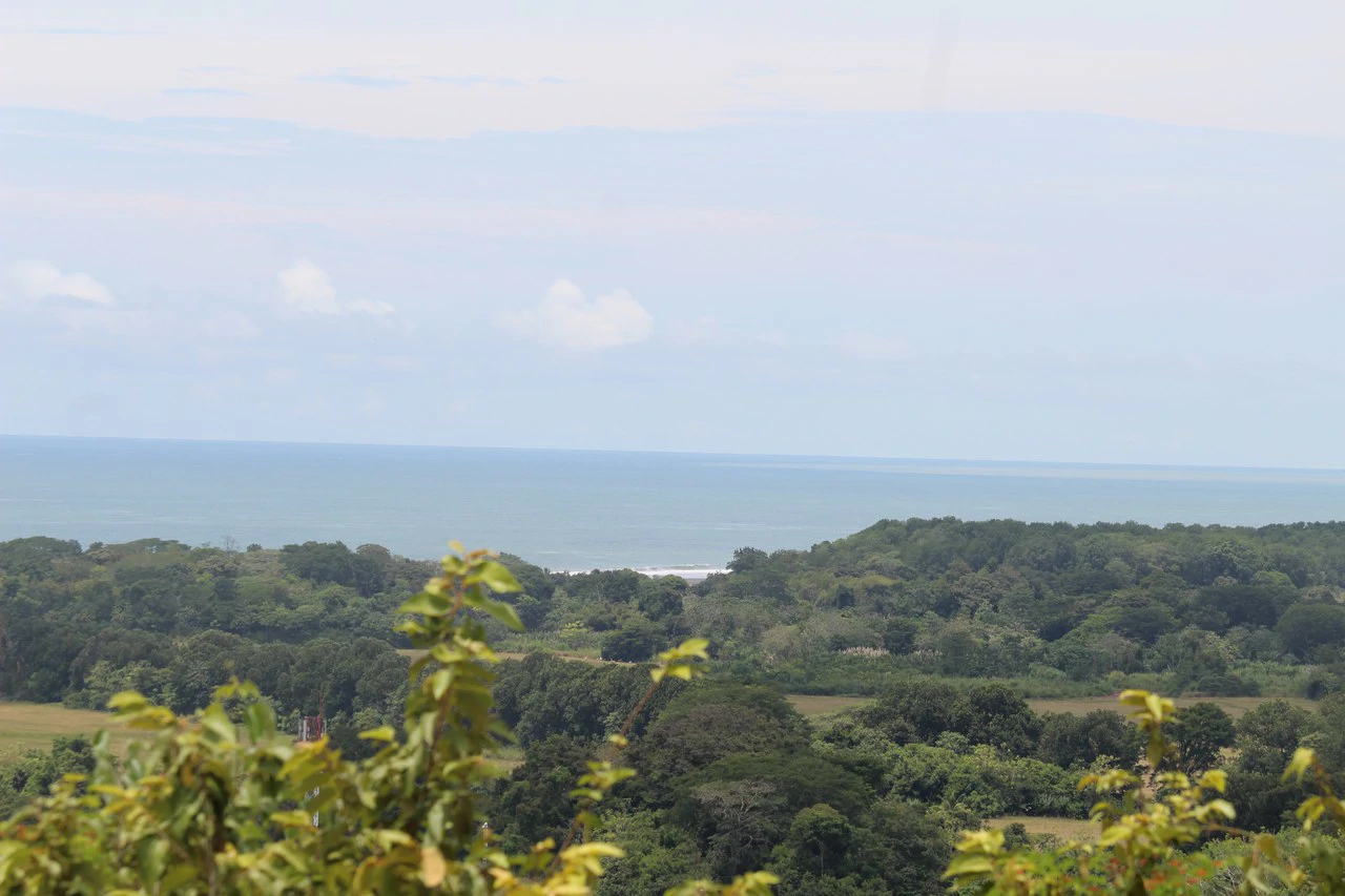 Whitewater Sunset Ocean View Lot Close to Dominical Beach - Gallery image 7