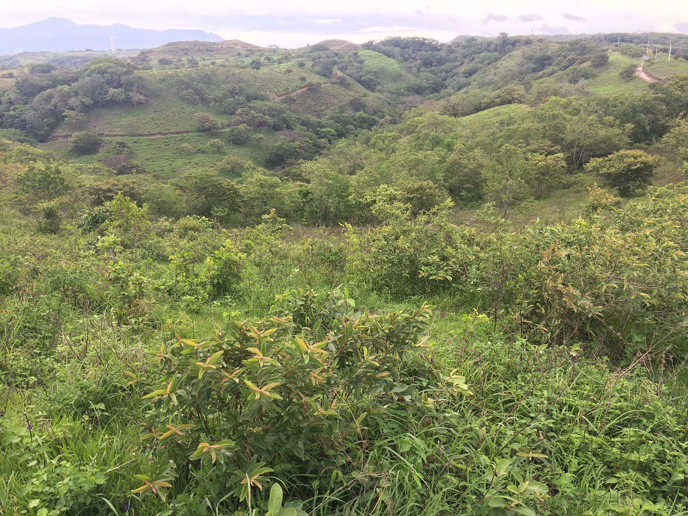 Mountain Property for Sale with charming 360º views of Guayabos Valley and the Volcanoes - Gallery image 26