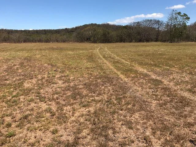 Huge terrain for sale in Guardia close to the International Airport of Liberia - Gallery image 5