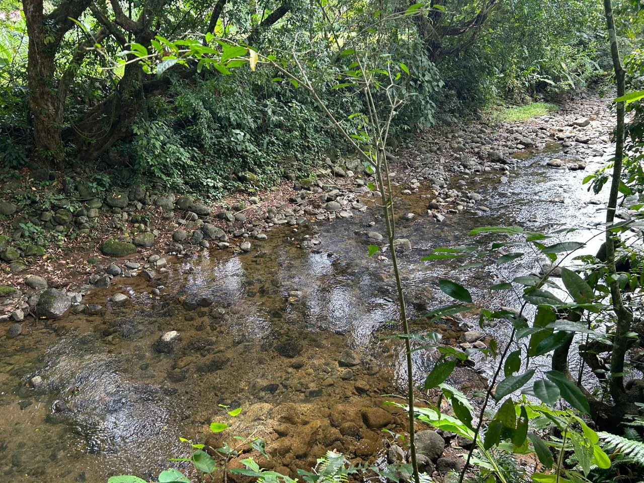 Hatillo Breeze, 2 Bedroom Home on 1,311m2 of usable land and year round creek!: House For Sale in Hatillo - Gallery image 29