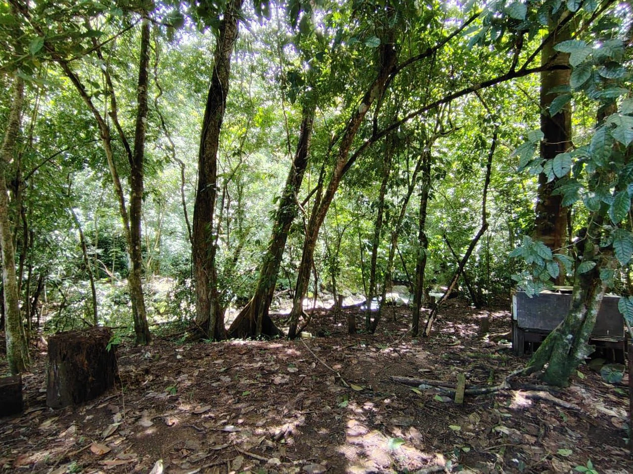 TERRENO EN VENTA, PUNTARENAS.: Mountain Home Construction Site For Sale in Hatillo - Gallery image 14
