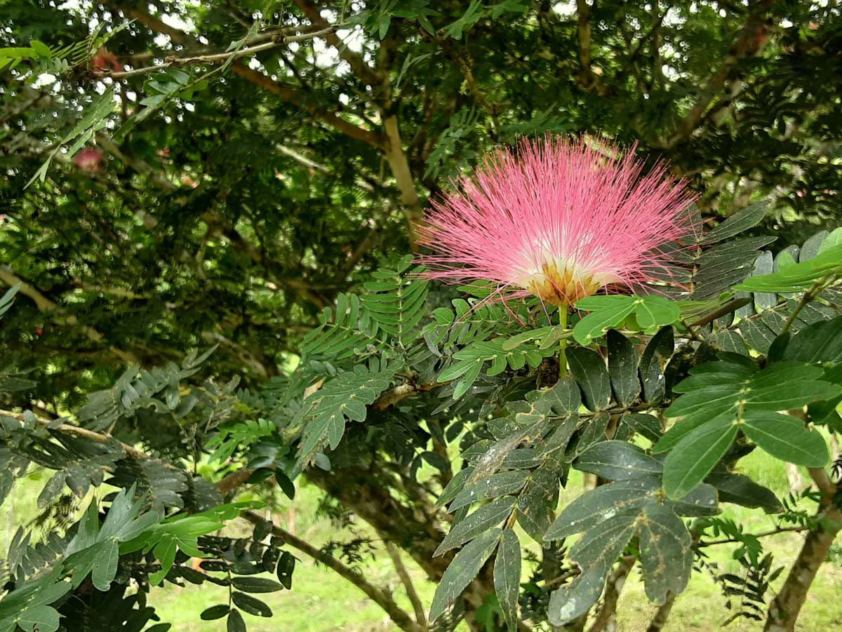 Finca Tesoro Escondido - The Jewel of Uvita - Gallery image 80
