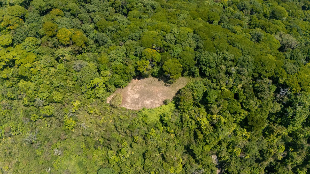 136 Acres of Oceanview Land with Multiple Building Sites | A Rare Development Opportunity in Costa Rica - Gallery image 20